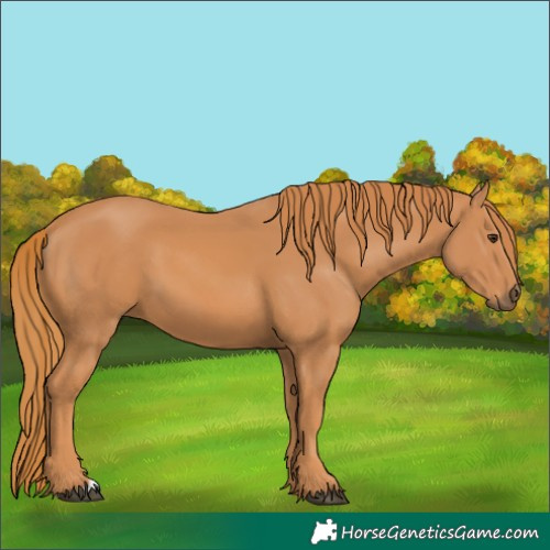 Horse Color:Unknown 