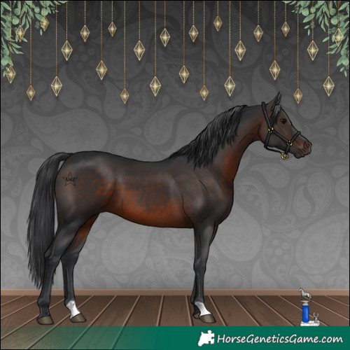 Horse Color:Brown 