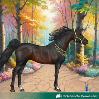 Horse Color:Brown 