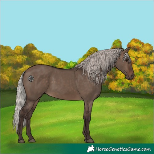 Horse Color:Silver Brown Dun