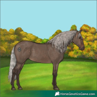 Horse Color:Silver Brown Dun 