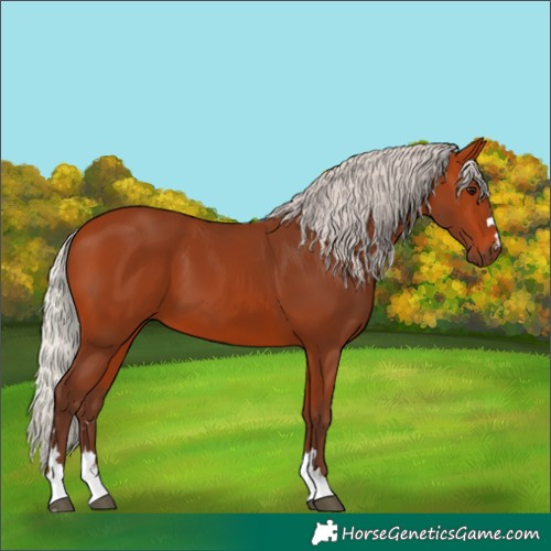 Horse Color:Silver Bay