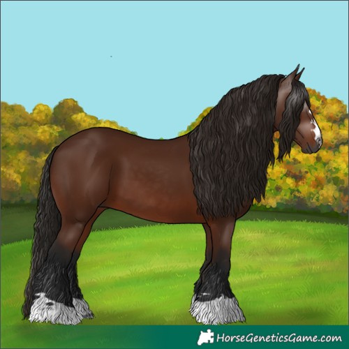 Horse Color:Gray Bay