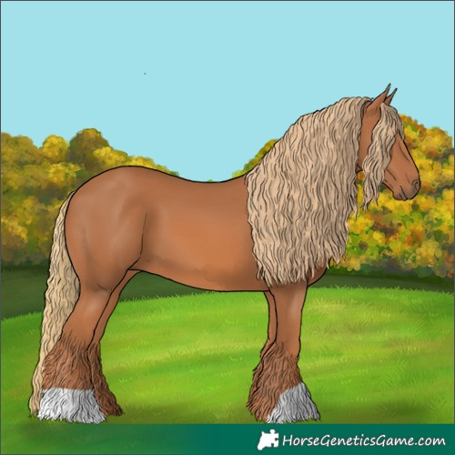 Horse Color:Chestnut 