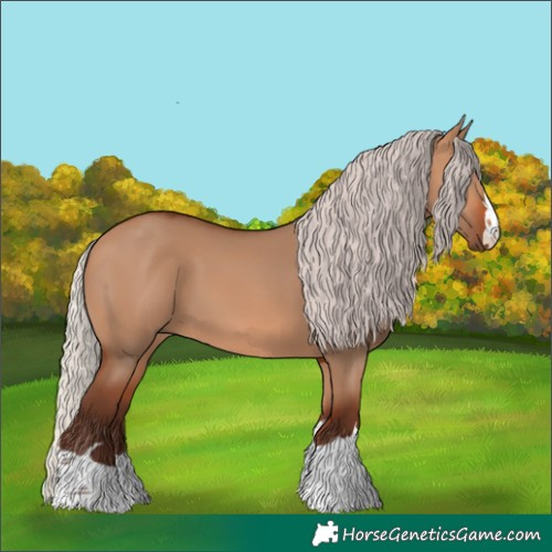 Horse Color:Silver Bay Dun 