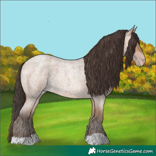 Horse Color:Amber Champagne Roan