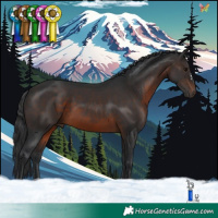 Horse Color:Brown 