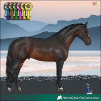Horse Color:Brown 