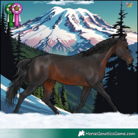 Horse Color:Brown 