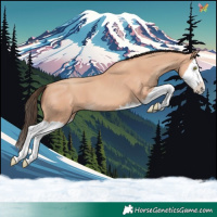 Horse Color:Amber Champagne Splash