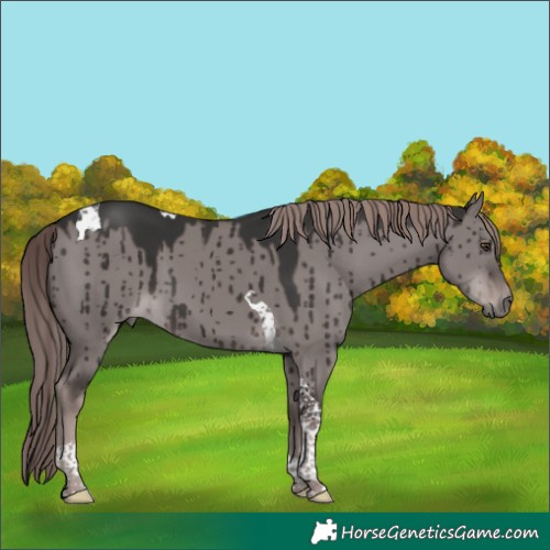 Horse Color:Platinum Liver Red Dun Tobiano Brindle 