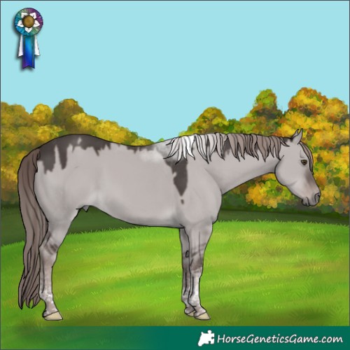 Horse Color:Platinum Liver Red Dun Tobiano 