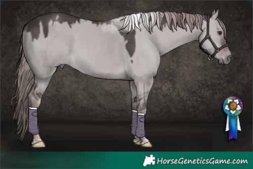 Horse Color:Platinum Liver Red Dun Tobiano