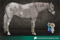 Horse Color:Platinum Liver Red Dun Tobiano Brindle 