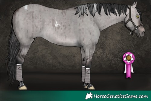 Horse Color:Platinum Bay Dun Tobiano Brindle