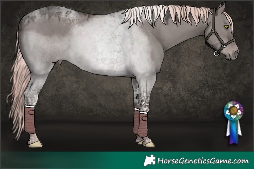 Horse Color:Platinum Liver Red Dun Tobiano 