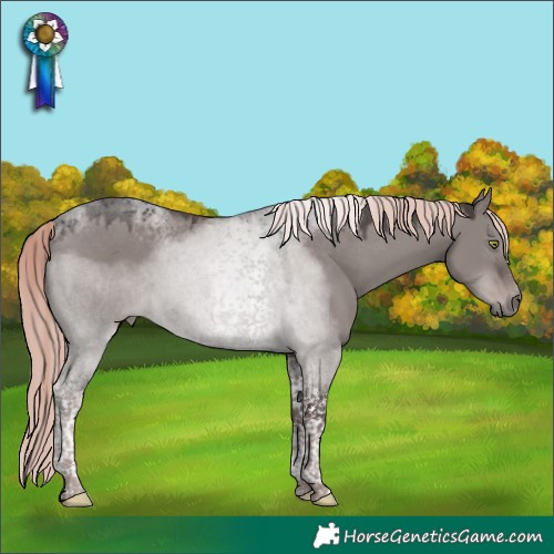 Horse Color:Platinum Liver Red Dun Tobiano