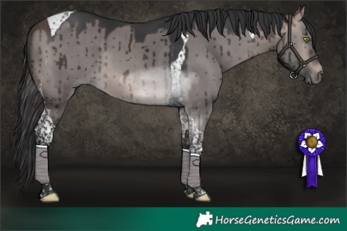 Horse Color:Platinum Bay Dun Tobiano Brindle 