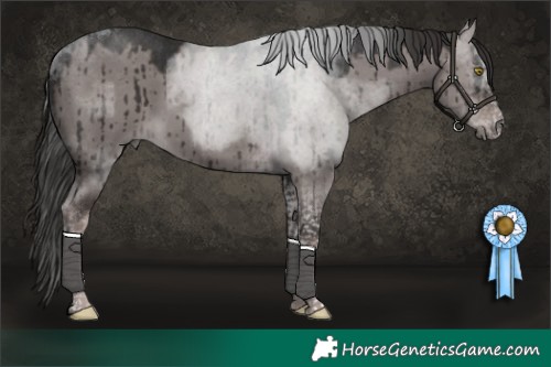 Horse Color:Platinum Liver Red Dun Tobiano Brindle