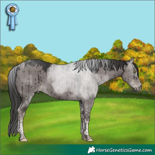 Horse Color:Platinum Liver Red Dun Tobiano Brindle 