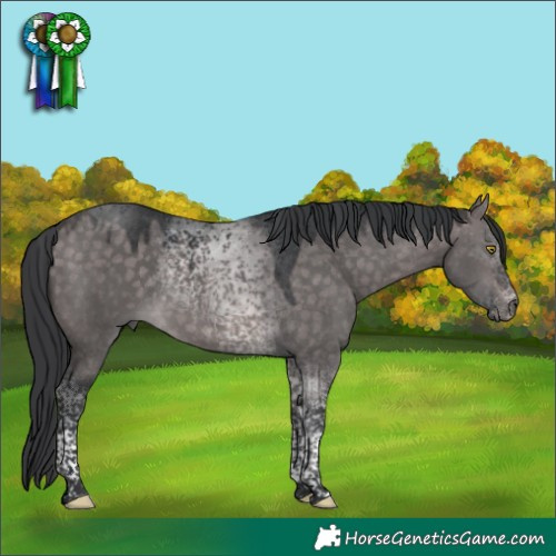 Horse Color:Platinum Brown Dun Tobiano