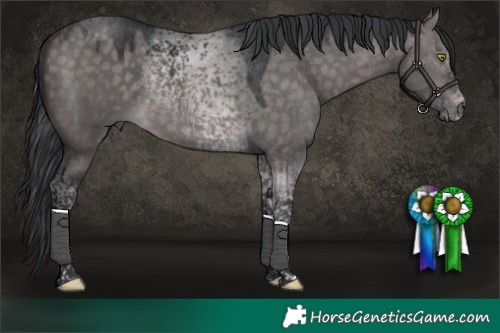 Horse Color:Platinum Brown Dun Tobiano