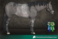 Horse Color:Platinum Brown Dun Tobiano 