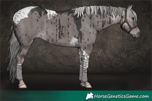 Horse Color:Platinum Liver Red Dun Tobiano Brindle