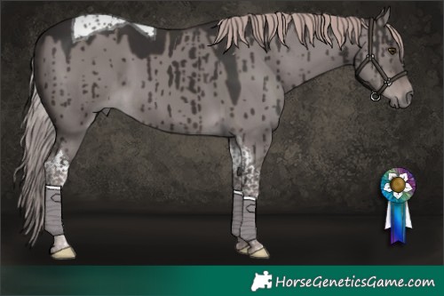 Horse Color:Platinum Liver Red Dun Tobiano Brindle 