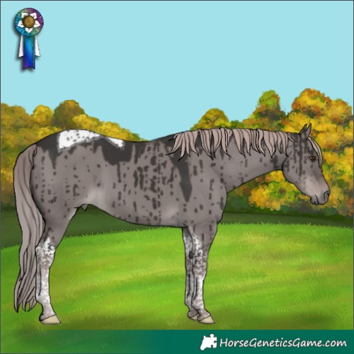 Horse Color:Platinum Liver Red Dun Tobiano Brindle 