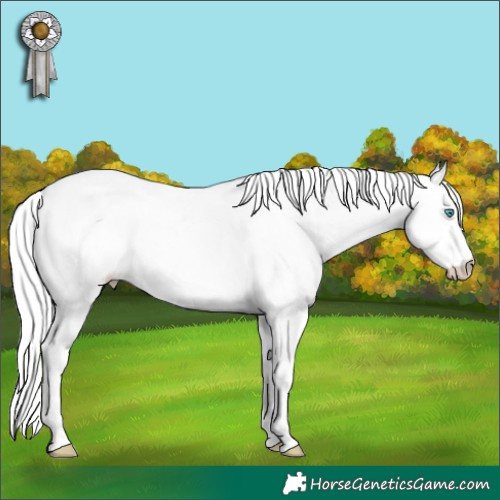 Horse Color:Cremello Splash Tobiano Rabicano