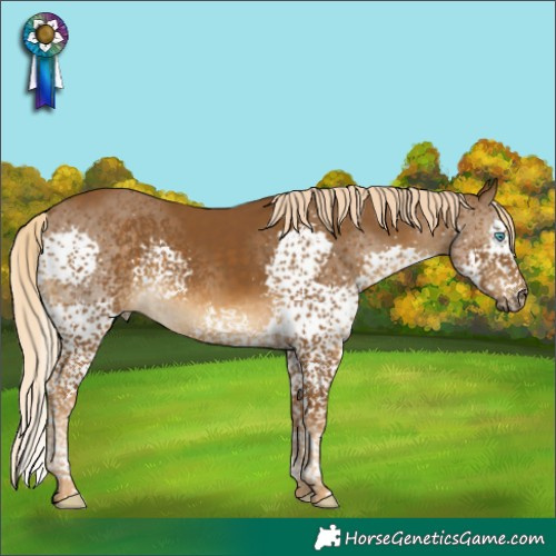 Horse Color:Chocolate Palomino Splash Tobiano Rabicano