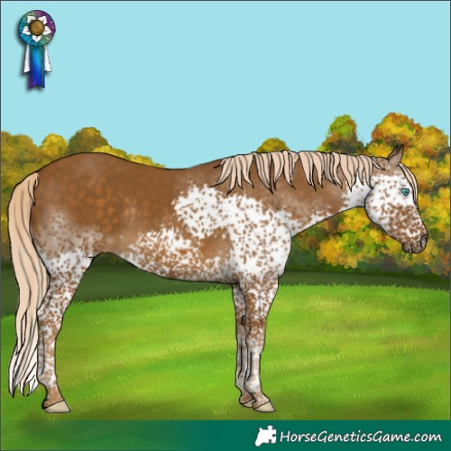 Horse Color:Chocolate Palomino Splash Tobiano Rabicano