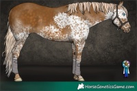 Horse Color:Chocolate Palomino Splash Tobiano Rabicano