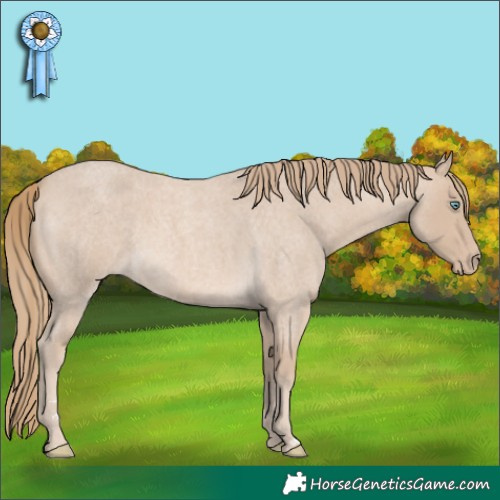 Horse Color:Perlino Roan