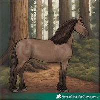 Horse Color:Liver Red Dun 