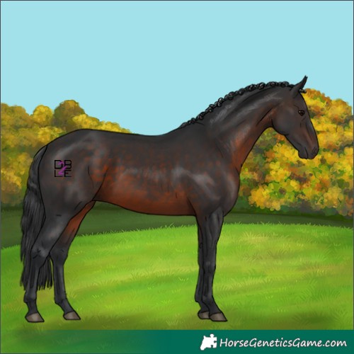 Horse Color:Brown 