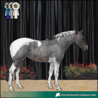 Horse Color:Brown Roan Tobiano