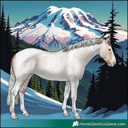 Horse Color:Silver Brown Roan Dun Splash Tobiano 