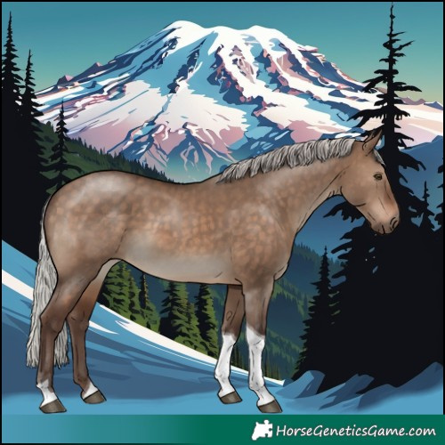 Horse Color:Silver Brown Dun Tobiano 