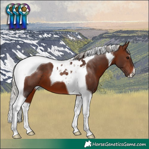 Horse Color:Silver Brown Tobiano