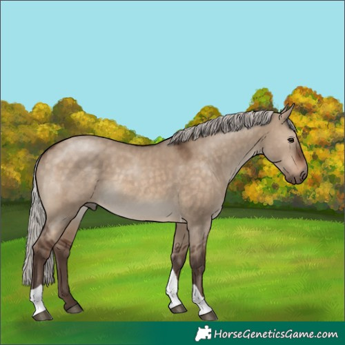 Horse Color:Silver Brown Dun Tobiano 