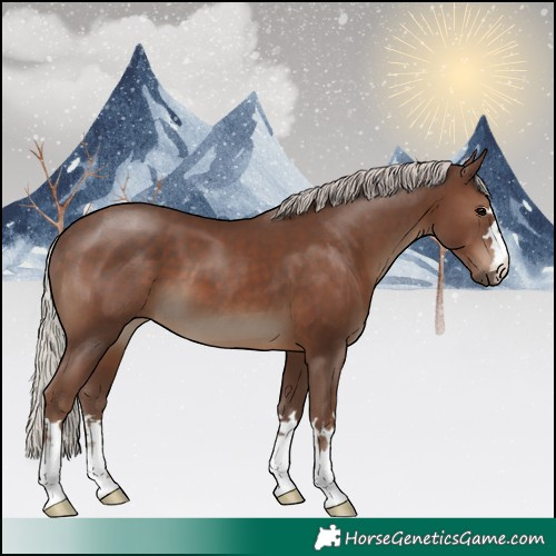 Horse Color:Silver Black 