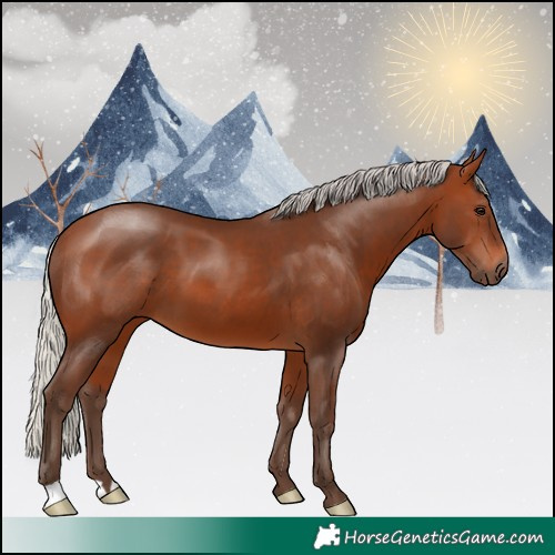 Horse Color:Silver Brown