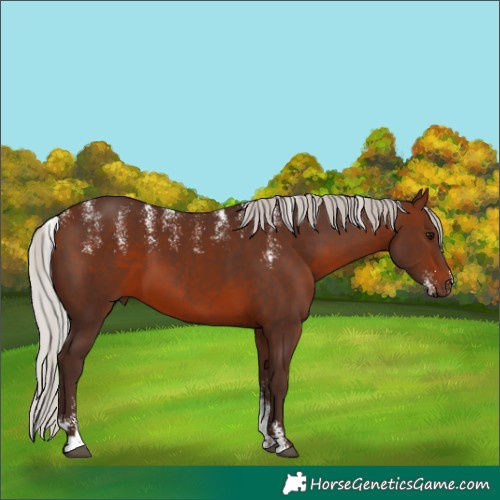 Horse Color:Powder White Silver Brown