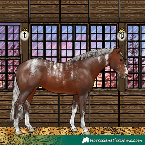 Horse Color:Powder White Silver Brown 
