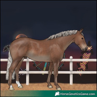 Horse Color:Silver Black 