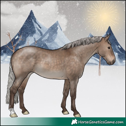 Horse Color:Silver Brown Dun 