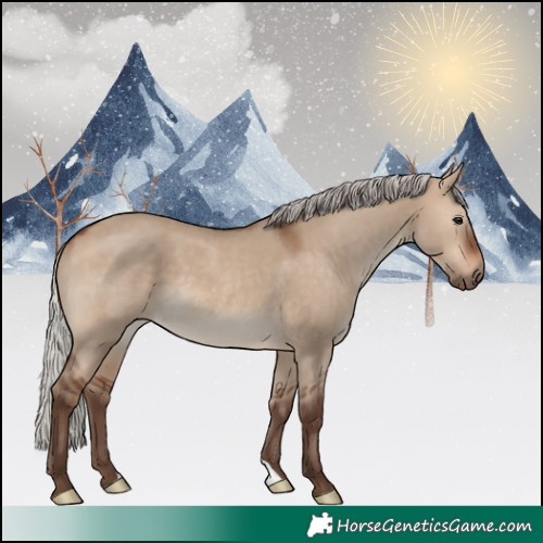 Horse Color:Silver Bay Dun