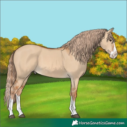 Horse Color:Unknown 